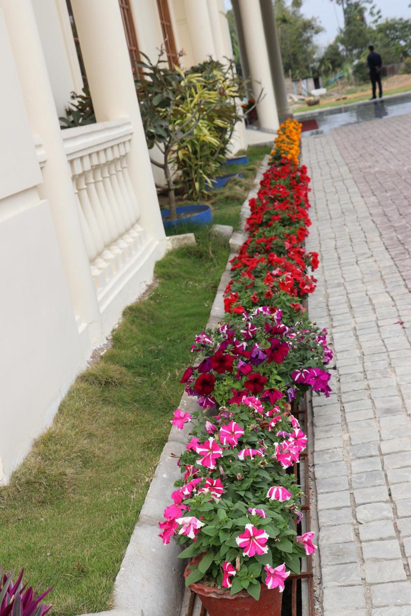 Royale De' Casa Resort Kaziranga Bagian luar foto
