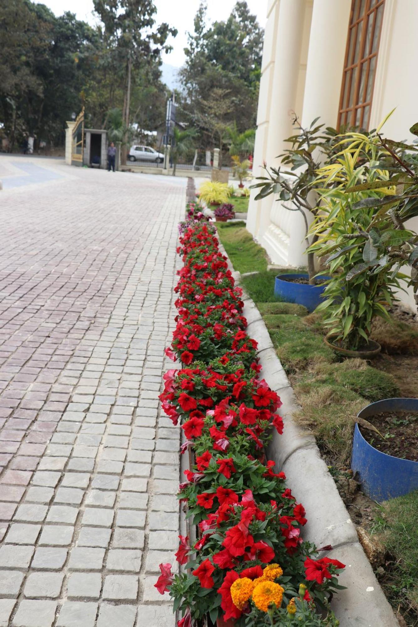 Royale De' Casa Resort Kaziranga Bagian luar foto